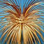 Profile Picture of Artith Grimm (@artith.grimm) on Facebook