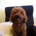 Profile Picture of Matthew Heasman (@Matthew-Heasman) on Facebook