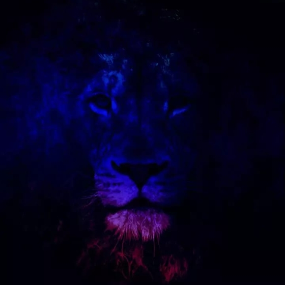 Profile Picture of Derek Stalder (@derekstalder) on Poshmark