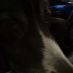 Profile Picture of Cory (@cory_doyle7) on Instagram