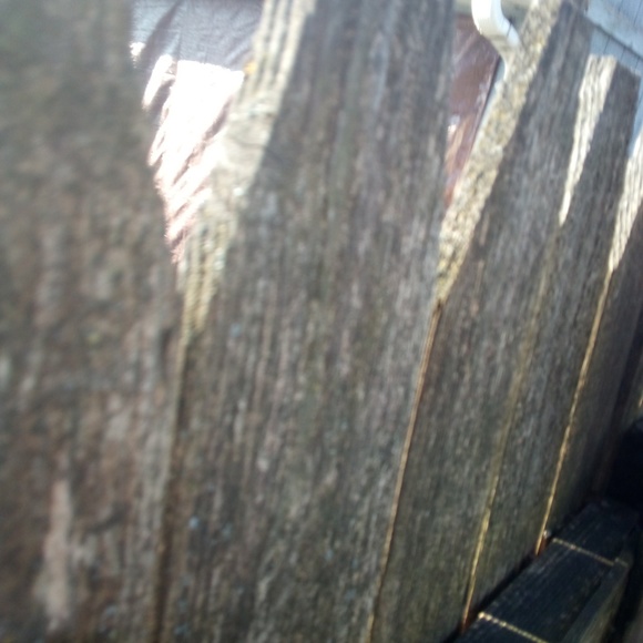 Profile Picture of Ernest Clark (@erniebeccalynn) on Poshmark