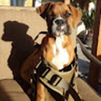 Profile Picture of Alberto Simon (@alberto-simon-9) on Quora