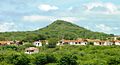 Profile Picture of Florâniaon Wikipedia