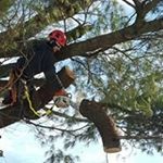 Profile Picture of Adam Plunkett (@adam.plunkett) on Instagram