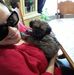 Profile Picture of Rosa Harper (@Rosa-Harper) on Facebook