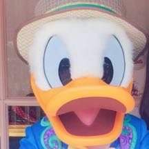 Profile Picture of Phoenix Kim (@812574958Kim) on Twitter