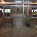 Profile Picture of Shawn Hulahan (@shawn.hulahan) on Facebook