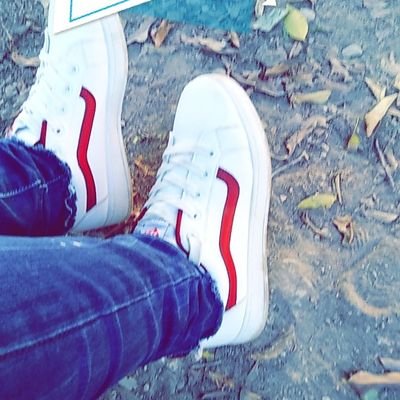 Profile Picture of Sajeda Ahmad Aladwan (@aladwan_sajeda) on Twitter