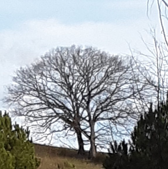 Profile Picture of Amaro Indio (@vicentefelix642) on Poshmark