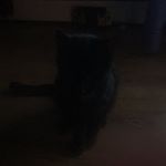 Profile Picture of Alexagnew (@alexagnew2009) on Instagram