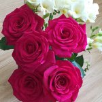 Profile Picture of Sharmin Hoque (@sharmin_hoque) on Instagram