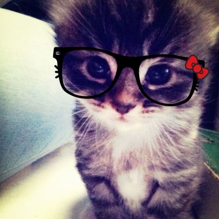 Profile Picture of amber (@amberedington12345) on Tiktok