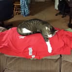 Profile Picture of Glenn Staffeld (@Glenn-Staffeld) on Facebook