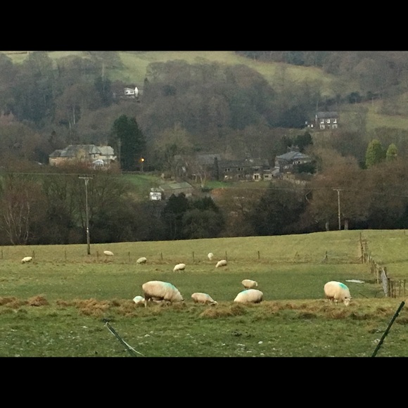 Profile Picture of Divinia Bastug (@fashiondiva1980) on Poshmark