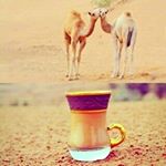 Profile Picture of hamad.almansoori (@hamad.almansoori8) on Instagram