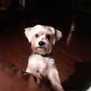 Profile Picture of Jimmy Collums (@jimmy.collums.585) on Facebook