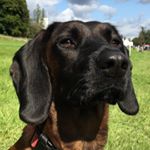 Profile Picture of Charles Wordie (@charleswordie) on Instagram