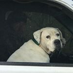 Profile Picture of Gary Fortner (@garyfortner) on Instagram