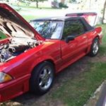 Profile Picture of Steve Rourke (@rourkesteve) on Instagram