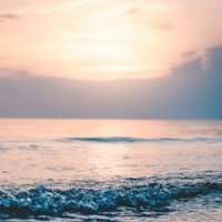 Profile Picture of Albert Howard (@albert-howard-25) on Quora