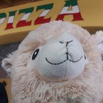 Profile Picture of Carl Sumner (@llama_carl_sumner) on Instagram
