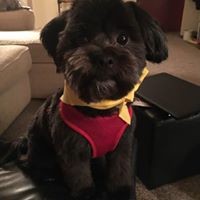 Profile Picture of Cindy Spencer Keim Lawler (@cindy-spencer-keim-lawler) on Quora