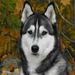 Profile Picture of Michael Textor (@mtextor70) on Pinterest