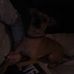 Profile Picture of Terry Blankenship (@terry.blankenship.397) on Facebook