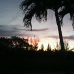 Profile Picture of Vicky Cummings (@vickyc4) on Instagram