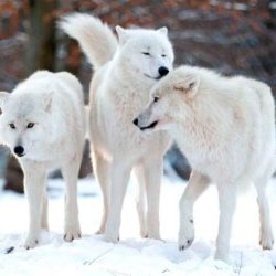 Profile Picture of Andy Javier Polanco (@AndyJavierPola2) on Twitter