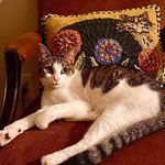 Profile Picture of Pamela Chiles (@pamchiles) on Instagram