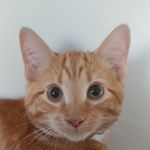 Profile Picture of Leonard J Finelli II (@leonard_j_finelli) on Instagram