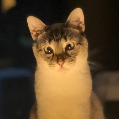 Profile Picture of Michael Schleicher (@MichaelSchlei18) on Twitter