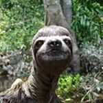 Profile Picture of Nikos Lavdas (@lavdasnikos) on Instagram