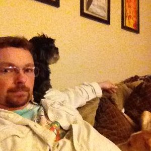 Profile Picture of Ape Entman (@BobYarrow) on Twitter