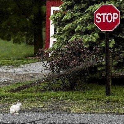 Profile Picture of GER SCHMIDHAMMER (@gischmid) on Twitter