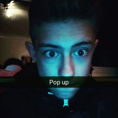 Profile Picture of Alex Shaw Whitby (@ShawWhitby) on Twitter