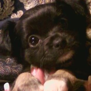 Belle Algiere (Nay Nay Algiere) - Facebook Profile Picture of Belle Algiere (Nay Nay Algiere) (@belle.algiere) on Facebook