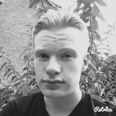 Profile Picture of David Hänel (@ProduktGecko) on Twitter