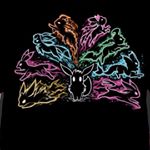 Profile Picture of JJ Chandler (@jjchandler7) on Instagram