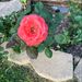 Profile Picture of Leahgabler (@leahgabler9163) on Pinterest