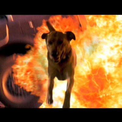 Profile Picture of Jeff Case (@casenpoint34) on Twitter