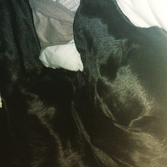 Profile Picture of Justin Suits (@justin9218) on Poshmark