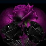 Profile Picture of Kimberly Marshall (@kimberlymarshall71) on Instagram