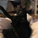 Profile Picture of Piet (@peter_kawaenzmann) on Instagram