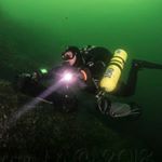 Profile Picture of Marc Freer (@freermarc) on Instagram