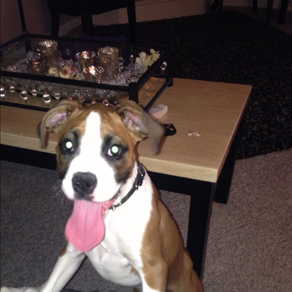 Profile Picture of Taylor Sagona (@taylorxo69) on Poshmark