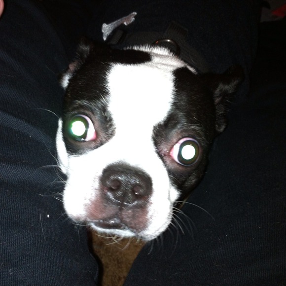 Profile Picture of Philip Kennedy (@t_phil) on Poshmark