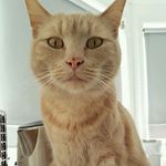 Profile Picture of Casper Theodore (@casper_theo) on Instagram