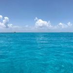 Joseph Louis Evans Ehler - Instagram Profile Picture of Joseph Louis Evans Ehler (@ehlerjoseph) on Instagram